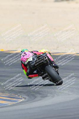 media/Mar-10-2024-SoCal Trackdays (Sun) [[6228d7c590]]/9-Turn 8 Backside (1150am)/